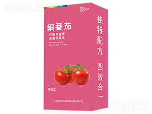 �番茄（盒�b）-鑫田田