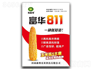 富華811-玉米種子-鑫博農業