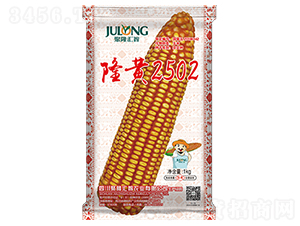 隆黃2502-玉米種子-聚隆匯智