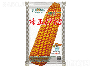 隆玉1708-玉米種子-聚隆匯智