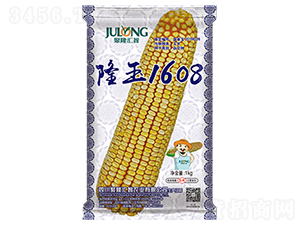 隆玉1608-玉米種子-聚隆匯智