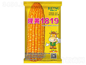 隆黃1819-玉米種子-聚隆匯智