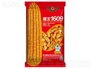 隆玉1609-玉米種子-聚隆匯智