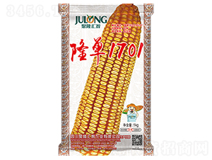 隆單1701-玉米種子-聚隆匯智